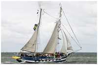 Hanse Sail 2005