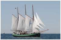 Hanse Sail 2022
