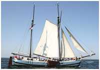 Kufftjalk Neerlandia