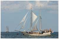 Bermudaschoner Mariarosa