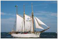 Dreimast-Gaffelschoner Ingo