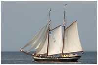 Gaffelschoner Zuiderzee