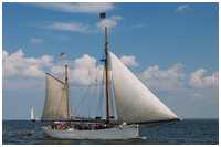 Heringslogger Pirola