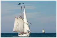 Logger Joanna Saturna