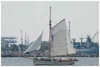 Pommersche Jagt Hoffnung