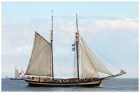 Gaffelschoner Zuiderzee