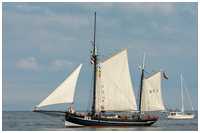 Heringslogger Vegesack BV2