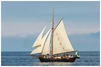 Jagt Hoppet av Brantevik