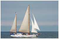 Seekreuzer Greif von Ueckermünde