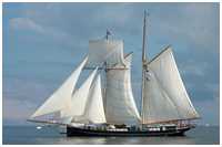 Toppsegelschoner Wylde Swan