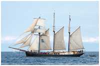Dreimast-Marssegelschoner Hendrika Bartelds