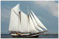 Gaffelschoner Abel Tasman