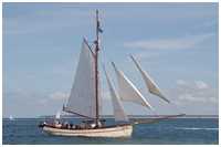 Pommersche Jagt Hoffnung