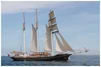 Barkentine Gulden Leeuw