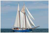 Gaffelschoner Stortemelk