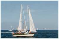 Stagsegelschoner Catharina