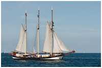 Dreimast-Marssegelschoner Swaensborgh