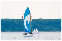 Loch Fine Skiff Peregrine