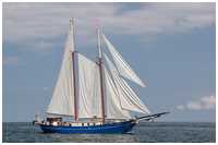 Gaffelschoner Stortemelk