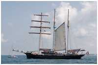 Barkentine Gulden Leeuw