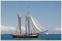 Gaffelschoner Zuiderzee