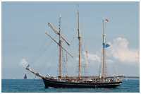 Dreimast-Toppsegelschoner Albatros