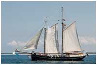 Logger Marie Galante