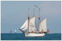 Dreimast-Gaffelschoner Ingo