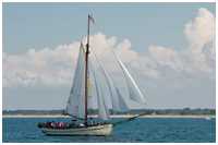 Pommersche Jagt Hoffnung