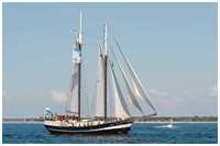 Gaffelschoner Abel Tasman