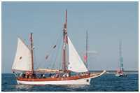 Gaffelketsch Bryza H