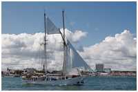 Logger Joanna Saturna