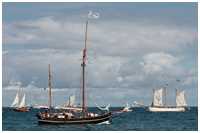 Gaffelketsch Albin Köbis