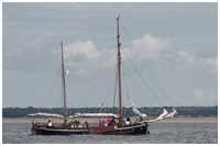 Besan-Ewer Flinthörn