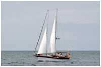 Stagsegelschoner Jolly Roger