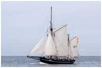 Heringslogger Vegesack BV2