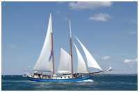 Gaffelschoner Stortemelk