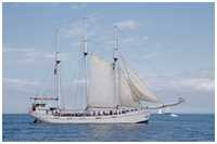 Dreimast-Gaffelschoner Minerva