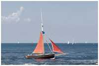 Cornish Crabber Betty