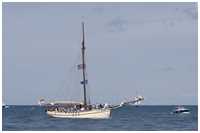 Pommersche Jagt Hoffnung