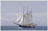 Dreimast-Gaffelschoner Regina Maris