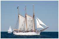 Dreimast-Gaffelschoner Ingo