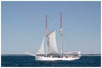 Logger Joanna Saturna