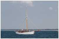 Pommersche Schlup Thetis