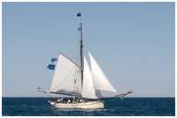 Pommersche Jagt Hoffnung