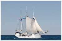 Dreimast-Gaffelschoner Minerva