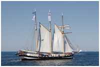 Dreimast-Marssegelschoner Swaensborgh