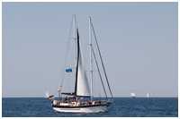 Stagsegelschoner Jolly Roger