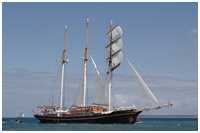 Barkentine Gulden Leeuw