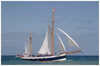 Heringslogger Belle Amie